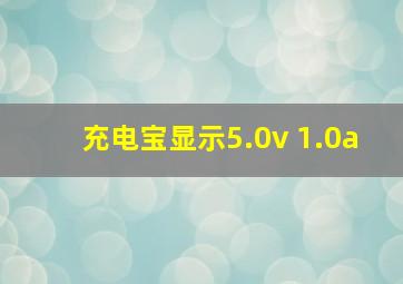 充电宝显示5.0v 1.0a